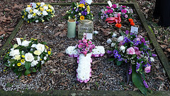 Nan's Flowers at Pop's Grave